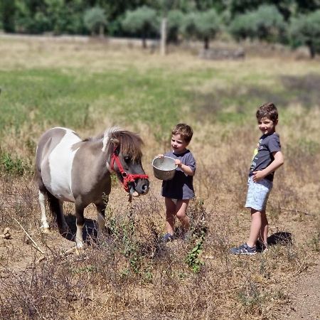 Arca Dos Animais - Farming & Spa Castelo Branco  Exteriér fotografie